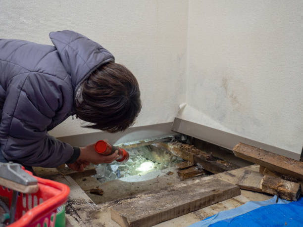 Best Indoor Air Quality Assessment  in Hockinson, WA
