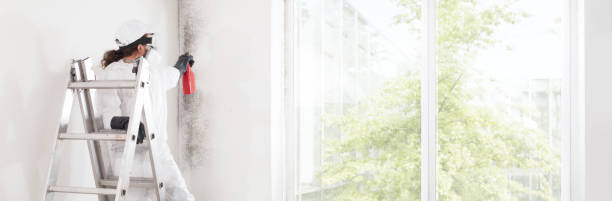 Best Commercial Mold Inspection  in Hockinson, WA